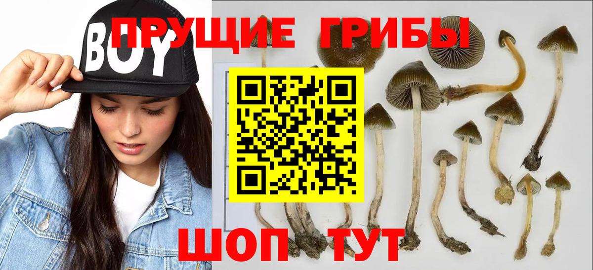 Екатеринбург  Псилоцибиновые грибы Cubensis  Галлюциногенные грибы мухоморы  Вход с VPN 