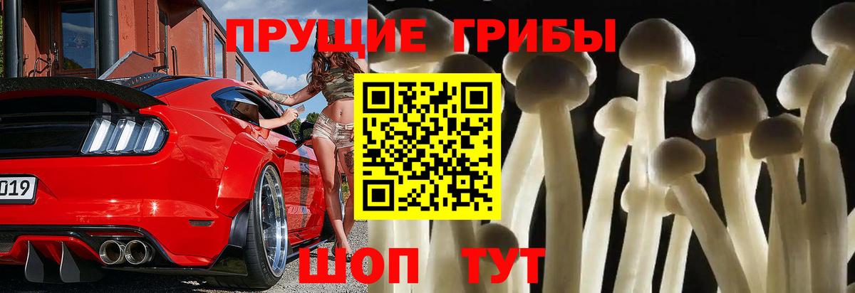 Галлюциногенные грибы GOLDEN TEACHER Екатеринбург